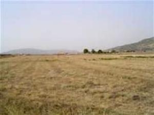 Pinoso property: Land for sale in Pinoso, Spain 49775