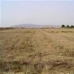 Pinoso property: Pinoso, Spain Land 49777