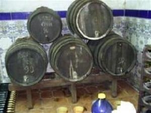 Salinas property: House with 9+ bedroom in Salinas, Spain 49780