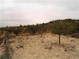 Pinoso property: Land for sale in Pinoso 49782