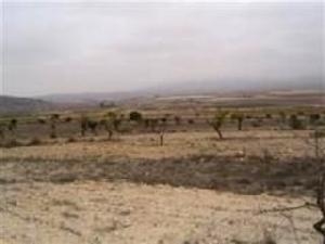 Pinoso property: Land with bedroom in Pinoso 49782