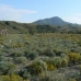Puerto Lumbreras property: Puerto Lumbreras, Spain Farmhouse 49802