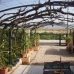 Lorca property: 3 bedroom Villa in Lorca, Spain 49819