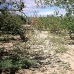 Lorca property: 3 bedroom Farmhouse in Lorca, Spain 49868