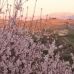 Puerto Lumbreras property: Puerto Lumbreras, Spain Farmhouse 49872