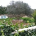 province Villa, Spain 51446
