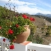 Nerja property: Farmhouse in Nerja 51746