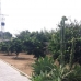 Mijas Costa property: 2 bedroom House in Mijas Costa, Spain 51779