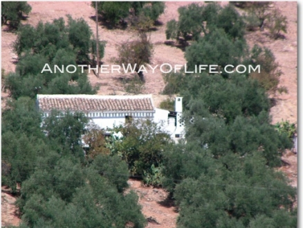 Iznajar property: Farmhouse for sale in Iznajar 52404