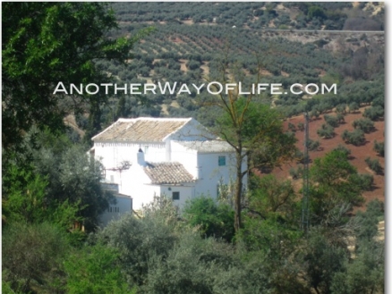 Iznajar property: Farmhouse for sale in Iznajar 52408