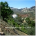 Iznajar property: Iznajar, Spain Farmhouse 52408