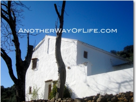 Rute property: Farmhouse with 4 bedroom in Rute, Spain 52409