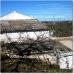 Villanueva De Tapia property: Farmhouse in Malaga 52410