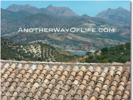 Iznajar property: Farmhouse for sale in Iznajar 52412