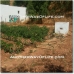 Iznajar property: Iznajar, Spain Farmhouse 52414