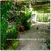 Iznajar property: Iznajar, Spain Farmhouse 52424