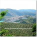 Iznajar property: 4 bedroom Farmhouse in Iznajar, Spain 52427