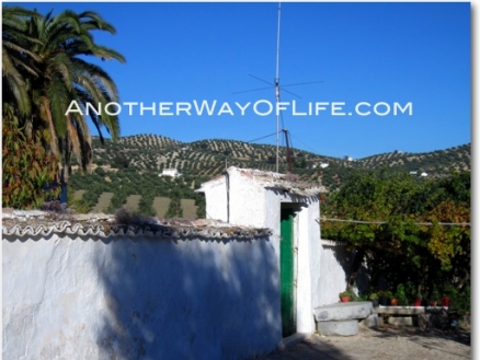 Algarinejo property: Farmhouse with 4 bedroom in Algarinejo, Spain 52429