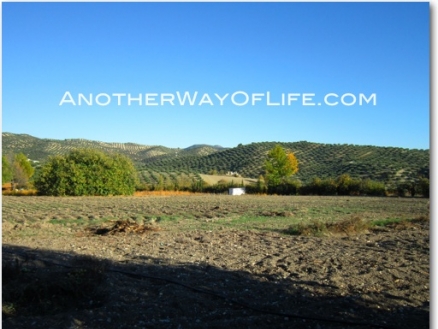 Algarinejo property: Algarinejo, Spain | Farmhouse for sale 52429