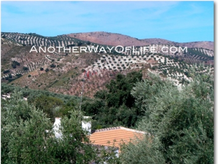 Iznajar property: Farmhouse for sale in Iznajar 52443