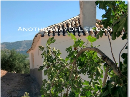 Montefrio property: Farmhouse with 3 bedroom in Montefrio, Spain 52451