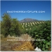 Alcaudete property: 9+ bedroom Farmhouse in Jaen 52458