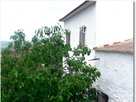 House for sale in town, Spain 52459