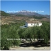 Alcaudete property: 4 bedroom Farmhouse in Alcaudete, Spain 52462
