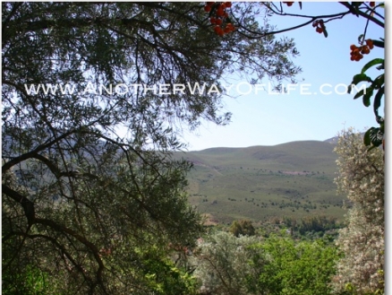 Orgiva property: Farmhouse in Granada for sale 52476