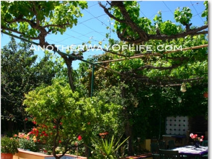 Orgiva property: Farmhouse with 5 bedroom in Orgiva, Spain 52484