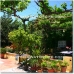 Orgiva property: 5 bedroom Farmhouse in Granada 52484