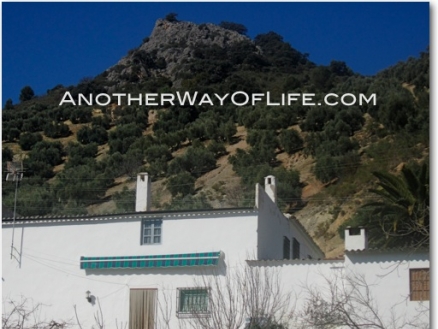 Iznajar property: Farmhouse for sale in Iznajar 52499