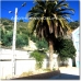 Iznajar property: Iznajar Farmhouse, Spain 52499