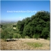 Villanueva De Algaidas property: Beautiful Farmhouse for sale in Malaga 52507