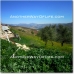 Iznajar property: Cordoba Farmhouse, Spain 52514