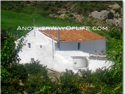 Antequera property: Farmhouse for sale in Antequera 52519
