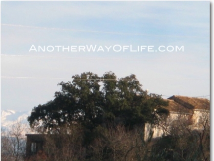 Illora property: Illora Farmhouse 52527