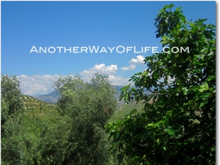Iznajar property: Farmhouse in Cordoba for sale 52538