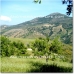 Cadiar property: 8 bedroom Farmhouse in Granada 52541