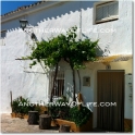 Alcala La Real property: Farmhouse for sale in Alcala La Real 52543