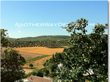 Alcala La Real property: Farmhouse with 4 bedroom in Alcala La Real, Spain 52543