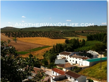 Alcala La Real property: Farmhouse for sale in Alcala La Real, Jaen 52543