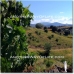 Alcala La Real property: 4 bedroom Farmhouse in Alcala La Real, Spain 52543
