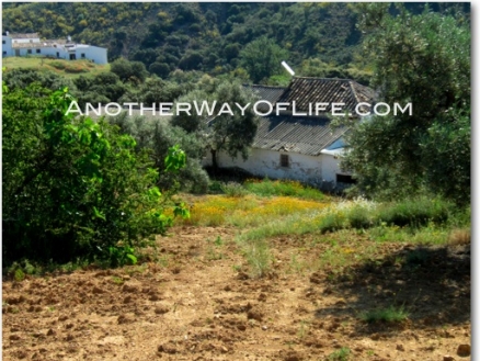 Loja property: Farmhouse with 3 bedroom in Loja, Spain 52546