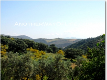 Loja property: Farmhouse in Granada for sale 52546