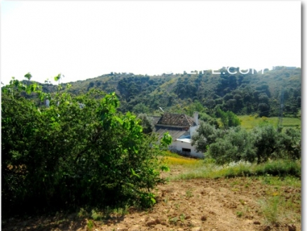 Loja property: Granada property | 3 bedroom Farmhouse 52546