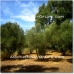 Orgiva property: Beautiful Farmhouse for sale in Granada 52553