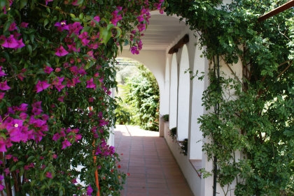 Competa property: Villa in Malaga for sale 53563