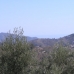 Competa property: Beautiful Villa for sale in Malaga 53572