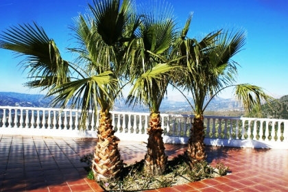 Canillas&nbsp;De&nbsp;Aceituno&nbsp;property:&nbsp;Villa&nbsp;in&nbsp;Malaga&nbsp;for&nbsp;sale&nbsp;53615